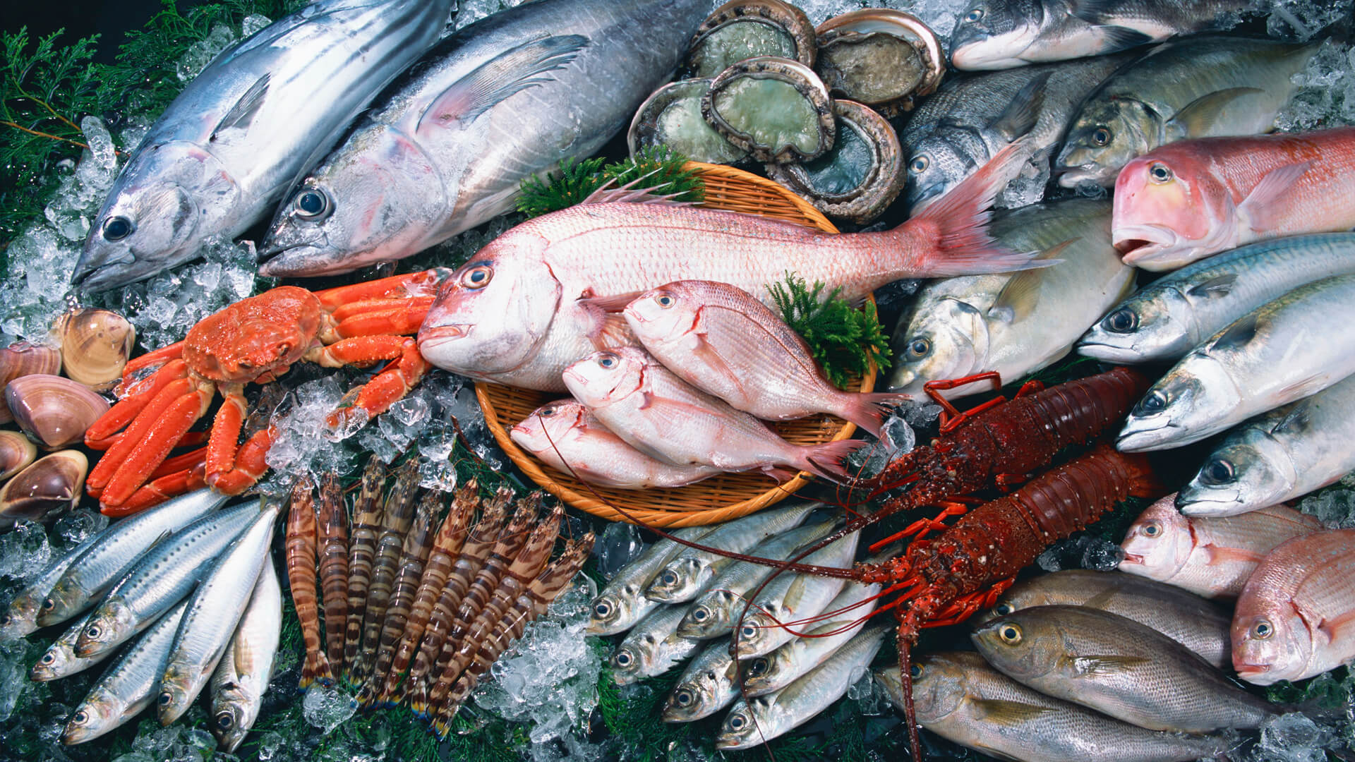 Компания SPSeafood надежный импортер рыбы и морепродуктов с 2008